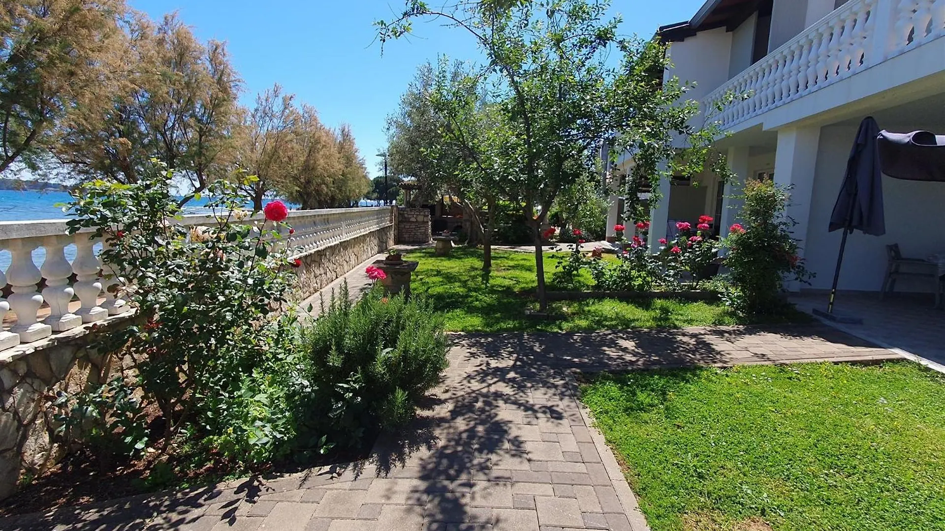 Laurus Nr3 In Front Of The Beach Novigrad Istria Chorvatsko