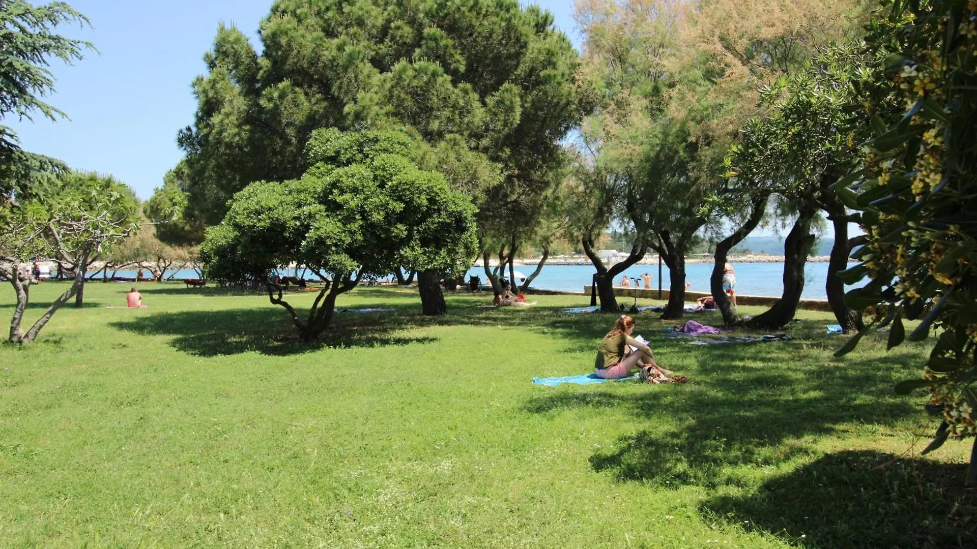 Laurus Nr3 In Front Of The Beach Novigrad Istria 公寓