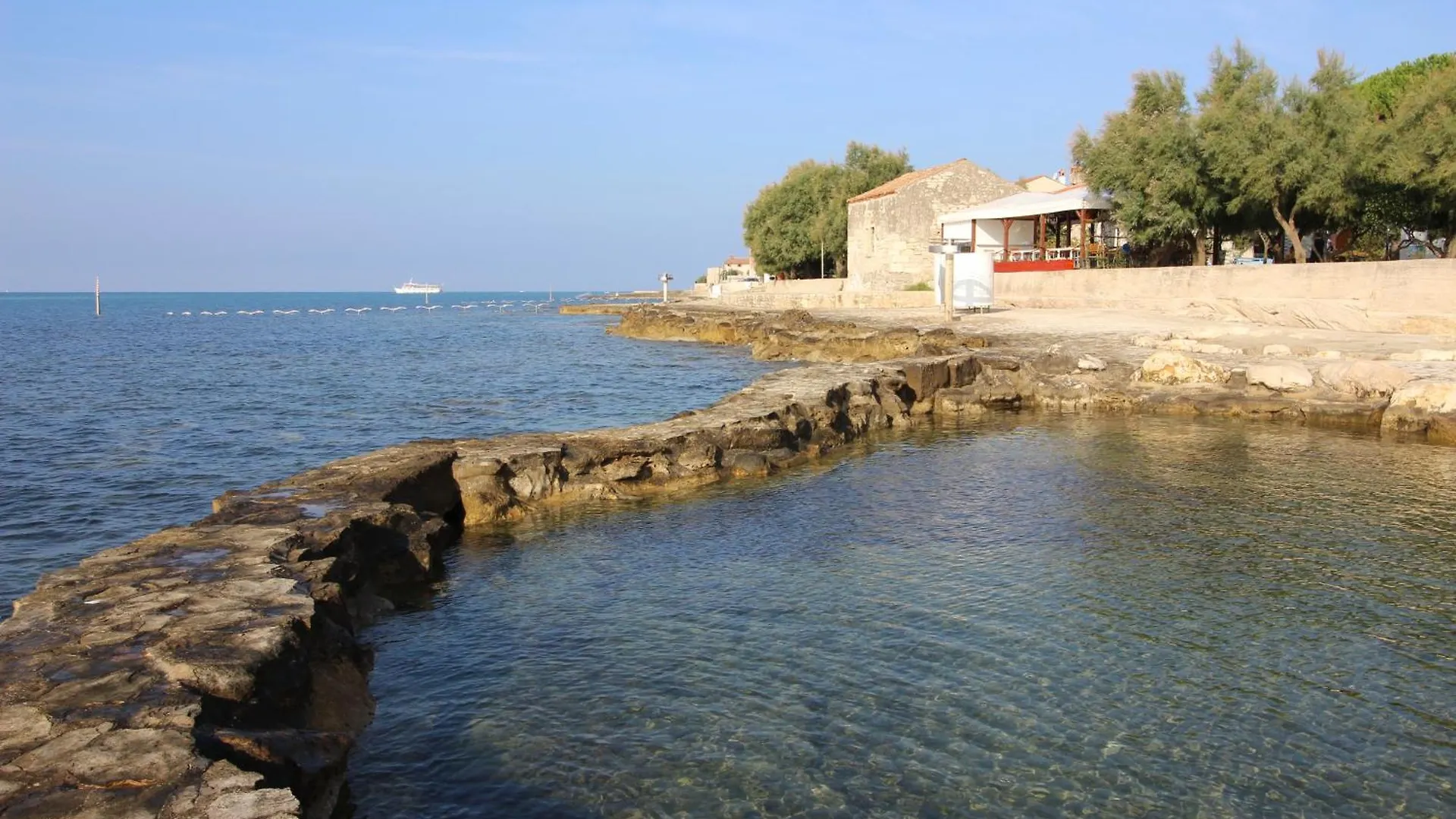 公寓 Laurus Nr3 In Front Of The Beach Novigrad Istria